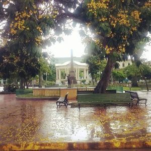 Meet your Posher, Marcia